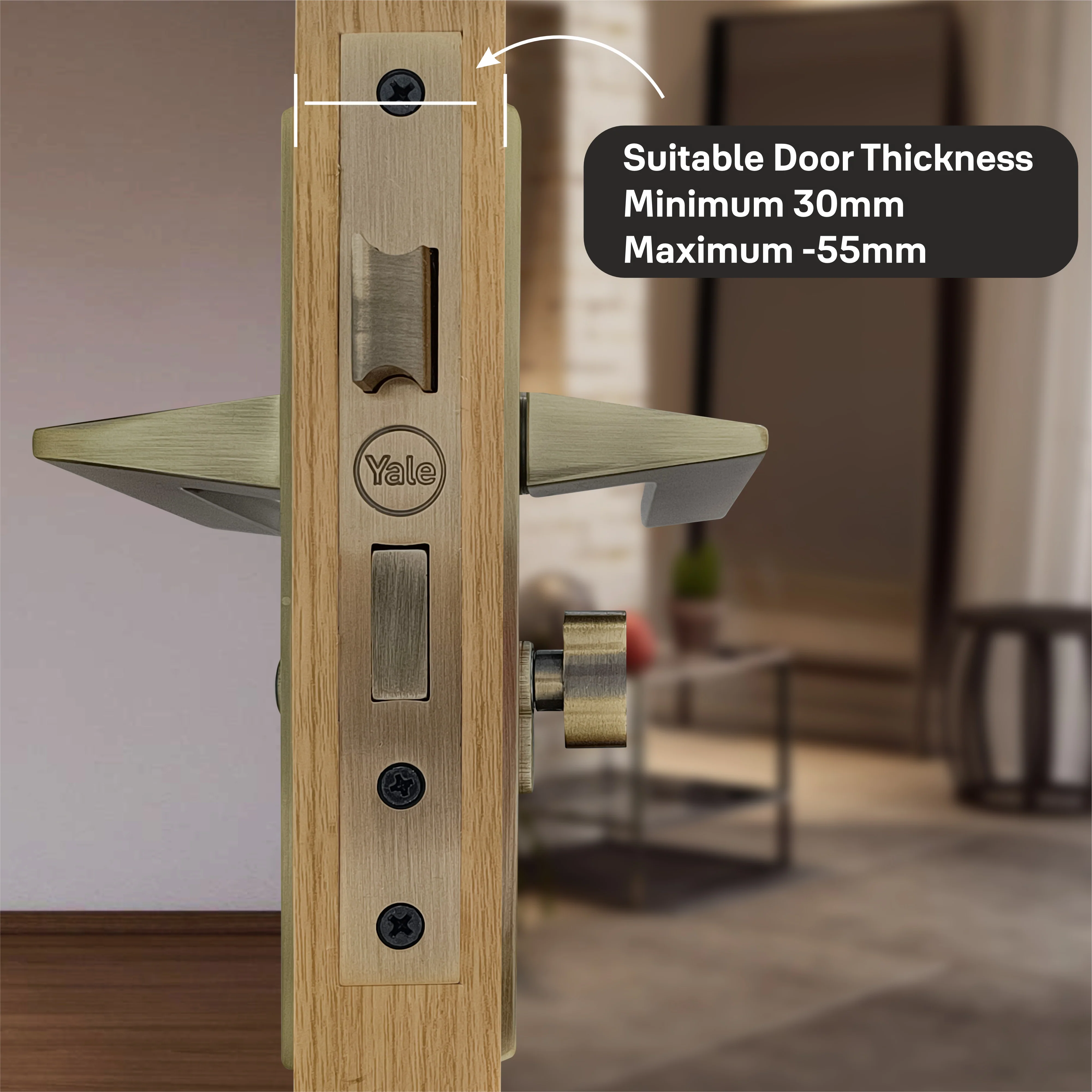 SM-03-02-02 Yale SM series Mortise Lock Comboset with backplated Handle, Cylinder with Knob inside and keys Outside, Antique Brass - Image 4
